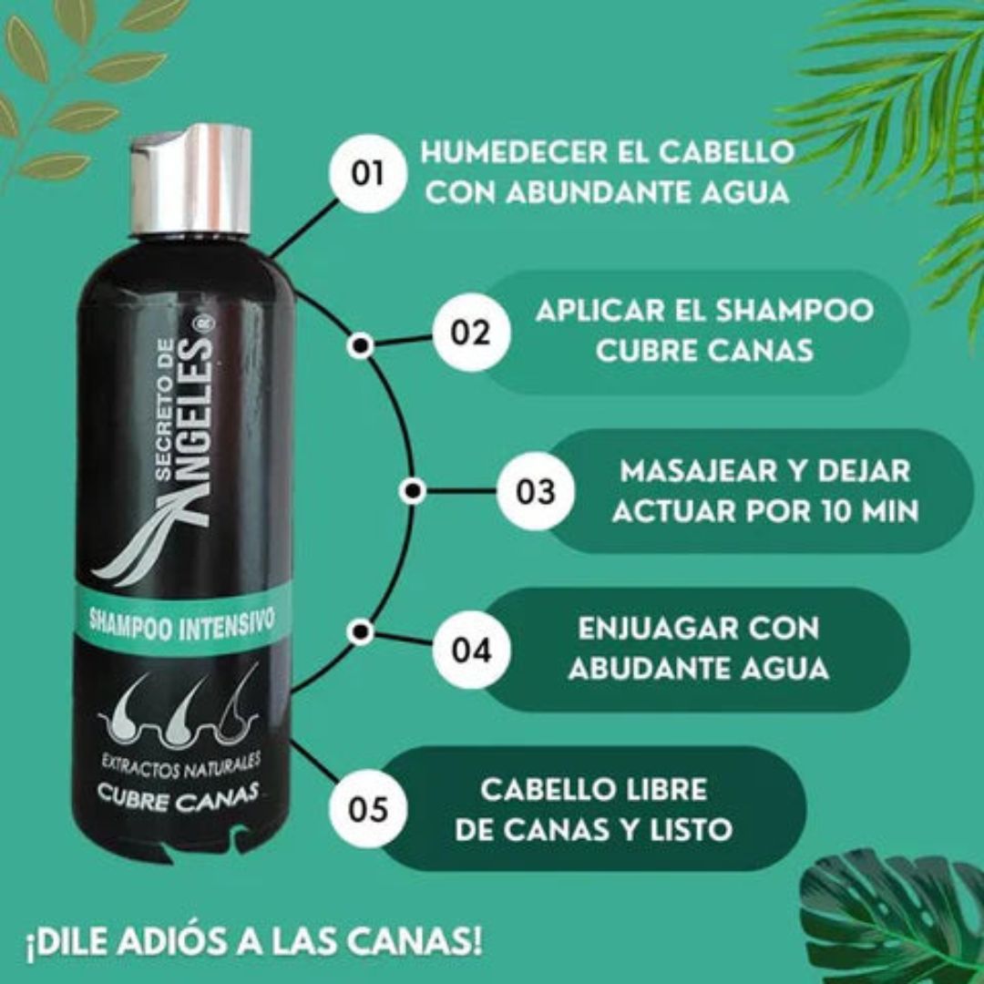 Shampoo Cubrecanas Secreto de Ángeles 250ml + Colágeno + Exfoliante GRATIS 🌟